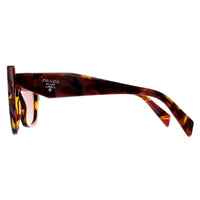 Prada Sunglasses PR19ZS 18N10D Tortoise Cognac Begonia Light Brown