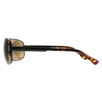 Calvin Klein Sunglasses CK22123S 009 Ruthenium Brown