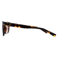Calvin Klein Sunglasses R748S 206 Tortoise Brown
