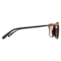 Ted Baker Sunglasses TB1620 Mata 001 Black Brown Gradient