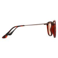 Montana Sunglasses MP33 E Havana Rubbertouch Brown Polarized
