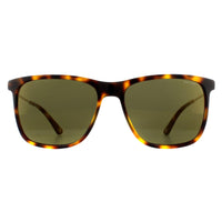 Police Sunglasses SPL572N Avenue 2 1GZV Shiny Light Havana Green