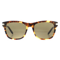 Salvatore Ferragamo Sunglasses SF936S 219 Dark Tortoise Brown