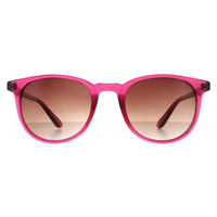 Smarty Sunglasses X2132 C Transparent Cassis Pink Brown