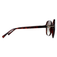 INVU Sunglasses B2114 B Warm Demi Brown Tortoise Brown Polarized