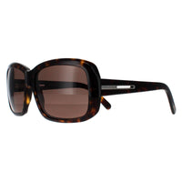Prada Sunglasses PR19LS 2AU8C1 Havana Brown