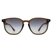 Ted Baker Sunglasses TB1655 Dock 949 Transparent Khaki Brown Striped Brown Grey Gradient