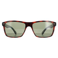 Ted Baker Sunglasses TB1409 Rhett 173 Tortoiseshell Green