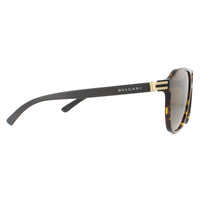 Bvlgari Sunglasses BV7034 504/73 Dark Havana Brown
