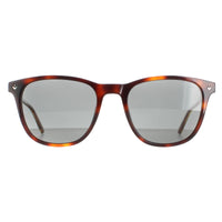 Lacoste Sunglasses L602SNDP 218 Havana Blonde Grey Polarized