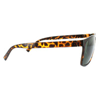 Polaroid Sunglasses 3010/S V08 H8 Havana Green Polarized