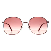 Ted Baker Sunglasses TB1687 Cyndi 466 Shiny Rose Gold Pink Gradient