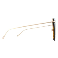 Tom Ford Sunglasses Charlotte 0657 52G Havana Gold Brown Gradient