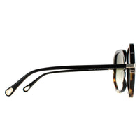 Chloe Sunglasses CH0105S 002 Shiny Black and Tortoise Green Gradient