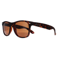 Montana Sunglasses MP1B-XL B Turtle Brown Polarized