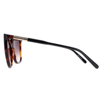 Lacoste Sunglasses L963S 230 Havana Brown Gradient