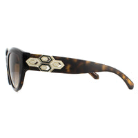 Bvlgari Sunglasses BV8221B 504/13 Dark Havana Brown Gradient