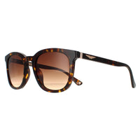 Police Sunglasses SPLB42 Origins 36 0722 Shiny Dark Havana Brown Gradient
