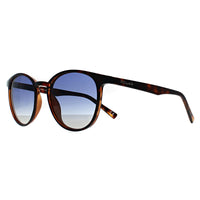 Polar Sunglasses Echo COL.428/A Havana Blue Gradient