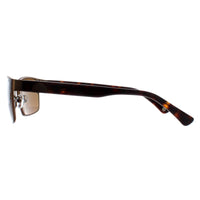 Duck and Cover Sunglasses DCS030 C2 Brown Black Brown