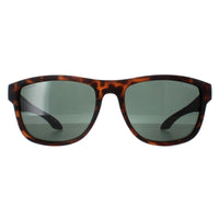 O'Neill Sunglasses Coast 102P Matte Tortoise Green Polarized