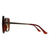 Calvin Klein Sunglasses CK22548S 210 Transparent Brown Brown Gradient