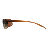 Serengeti Sunglasses Lupton Small SS552001 Matte Crystal Light Brown Phd2 Drivers Gold