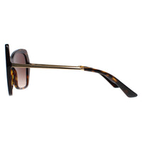 Dolce & Gabbana Sunglasses DG4399 502/13 Havana Brown Gradient