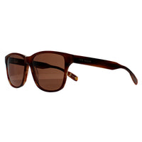 Ted Baker Sunglasses TB8232 151 Brown Horn Brown
