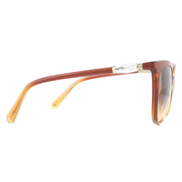 Swarovski Sunglasses SK0226 47F Light Brown Transparent Brown Gradient