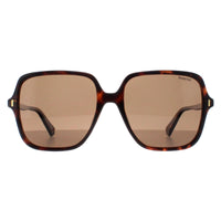 Polaroid Sunglasses PLD 6219/S 086 SP Havana Bronze Polarized