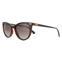 Polaroid Sunglasses PLD 4107/S 086 LA Havana Brown Gradient Polarized