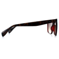 Ted Baker Sunglasses TB1680 Filipe 249 Crystal Dark Wine Brown Gradient