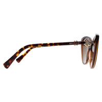 Bvlgari Sunglasses BV8246B 5496T5 Havana Brown Transparent Brown Gradient Polarized