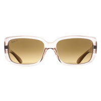 Ray-Ban Sunglasses RB4389 6644M2 Transparent Brown Brown Gradient Polarized