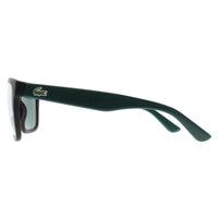 Lacoste Sunglasses L732S 004 Matte Onyx Green
