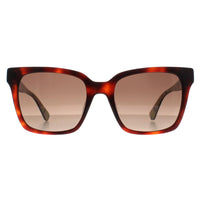 Kate Spade Sunglasses Harlow/G/S 086 HA Havana Brown Gradient