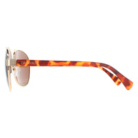 Calvin Klein Sunglasses CK19316S 717 Gold Brown