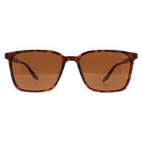 Montana Sunglasses MP186 C Turtle Brown Polarized