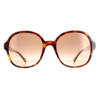 Tommy Hilfiger Sunglasses TH 1812/S 05L HA Havana Brown Gradient
