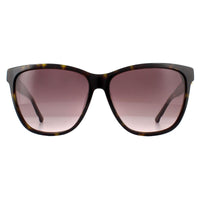 Swarovski Sunglasses SK0121 52F Dark Havana Brown Gradient