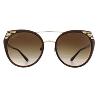 Bvlgari Sunglasses BV6095 203013 Brown Pale Gold Brown Gradient