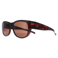 Smarty Sunglasses SA220 0A Brown Tortoise Brown