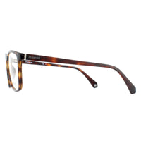 Polaroid Glasses Frames PLD D373 086 Dark Havana