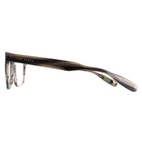 Ted Baker Glasses Frames TB8232 Efren 953 Grey Horn Men
