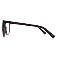 INVU Glasses Frames B4102 B Dark Tortoise Demi Women