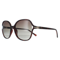 INVU Sunglasses B2114 B Warm Demi Brown Tortoise Brown Polarized