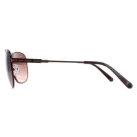 Duck and Cover Sunglasses DCS017 C1 Black Brown Gradient