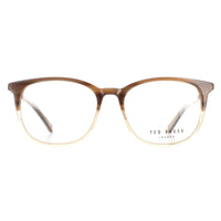 Ted Baker Glasses Frames TB8219 Archer 102 Brown Horn Men
