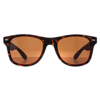 Montana Sunglasses MP1B-XL B Turtle Brown Polarized